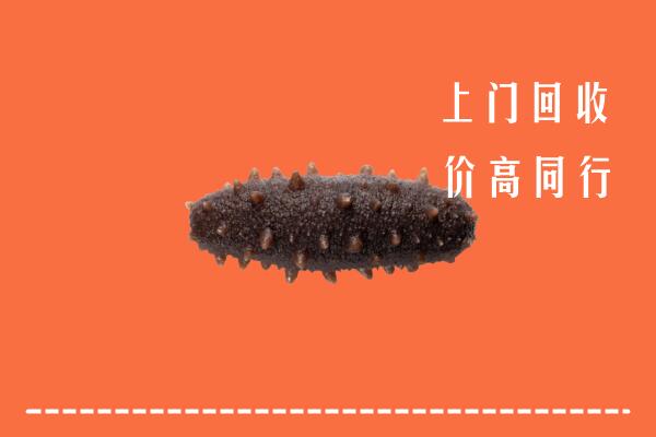 收购行情：宁波慈溪市回收海参